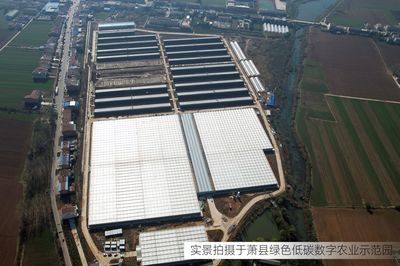 總投資6億元！江蘇綠港又一現代化設施農業園即將建成運營，助力旅游高質量發展