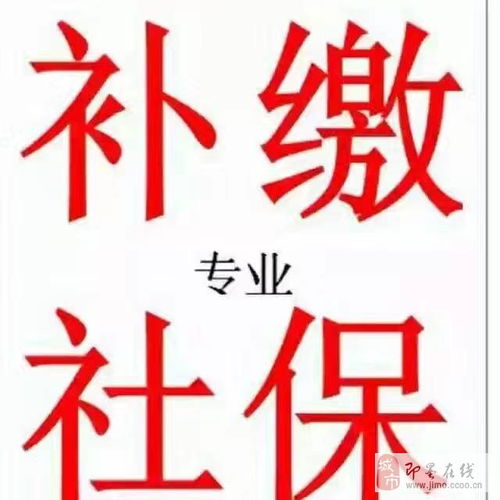 專業(yè)補(bǔ)繳本地社保與人力信息咨詢服務(wù)指南